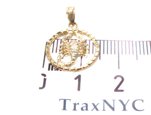 ❤️ Real 10k Gold high quality Pendant scorpion